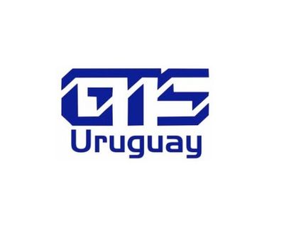 LEA Global | GTS Uruguay | Accounting Firm Association | Accounting ...